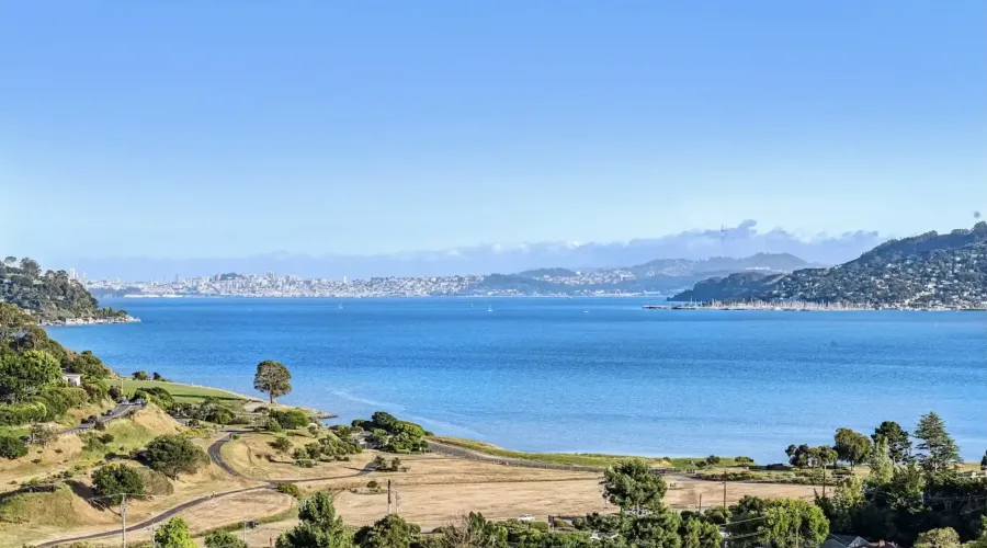 9 Burrell Court, Tiburon, California, United States, 5 Bedrooms Bedrooms, ,6 BathroomsBathrooms,Residential,For Sale,9 Burrell Court,70030019989